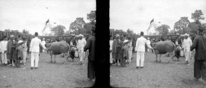 sibayak lingga2 perkawinan adat karo