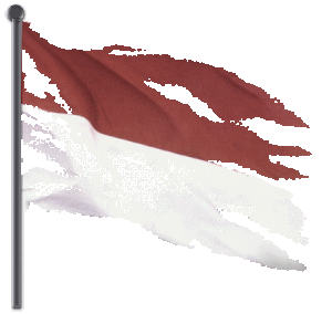 merah putih compang camping