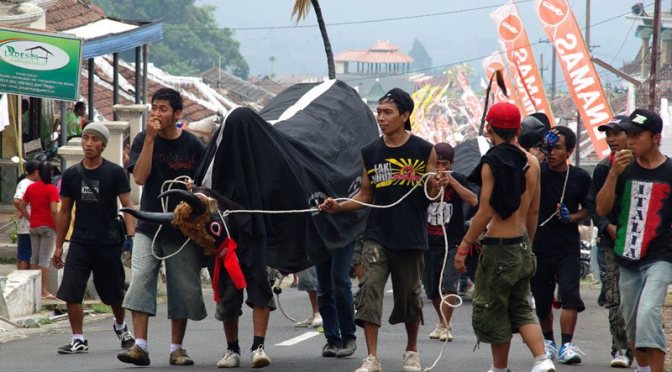 DISAMBUT MERIAH, GEBYAK BANTENGAN MAHANDHAKA SEMERU 2012