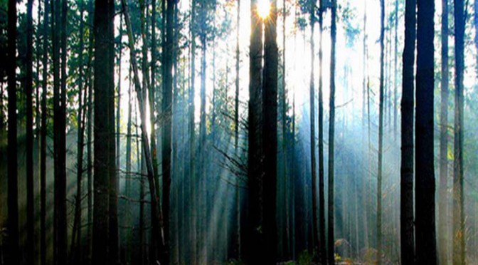 Saat Aku Kembali ke Bumi