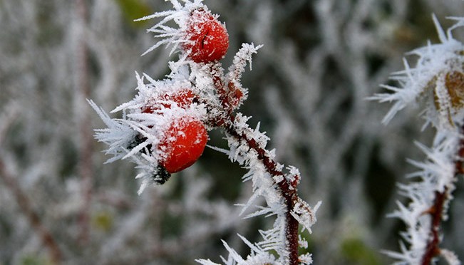 24 Posisi Matahari ( 9 )